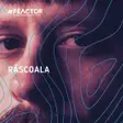 Rascoala