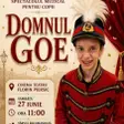 Domnul Goe