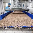 Kormotech: cum un producător de hrană pentru animale de companie creează o nouă experiență gastronomică pentru pisici și câini