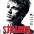 Străinul