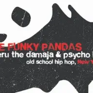 The Funky Pandas