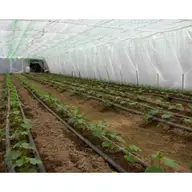 Care sunt avantajele unei sere acoperite cu o folie pentru solarii?