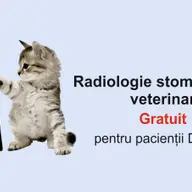 Stomatologie veterinara in Cluj