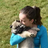 10 lucruri importante de stiut inainte de a va lua un caine