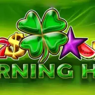 Cum să profitați la maximum de rotirile gratuite în Burning Hot