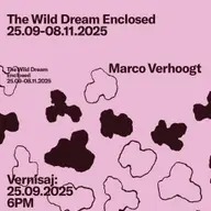 Expozitia personala a artistului Marco Verhoogt