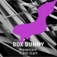 Box Bunny
