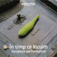 În Timp Ce Locuim