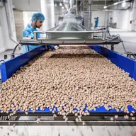 Kormotech: cum un producător de hrană pentru animale de companie creează o nouă experiență gastronomică pentru pisici și câini