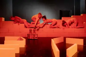 Lalele pasari si beton