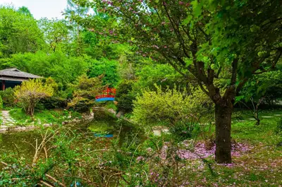 Gradina Botanica Alexandru Borza