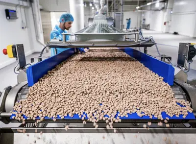 Kormotech: cum un producător de hrană pentru animale de companie creează o nouă experiență gastronomică pentru pisici și câini