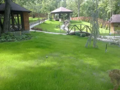 Eco Garden Construct