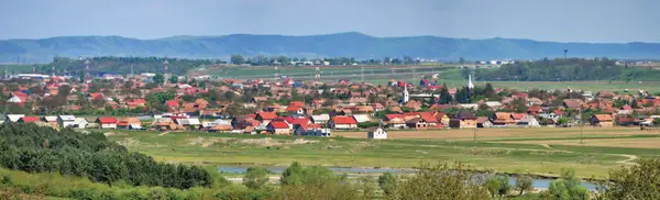 Primaria Mihai Viteazu