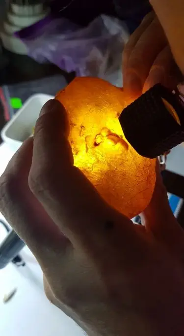 Chihlimbarul (Ambra)