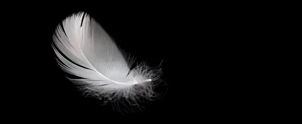 Werther - Jules Massenet