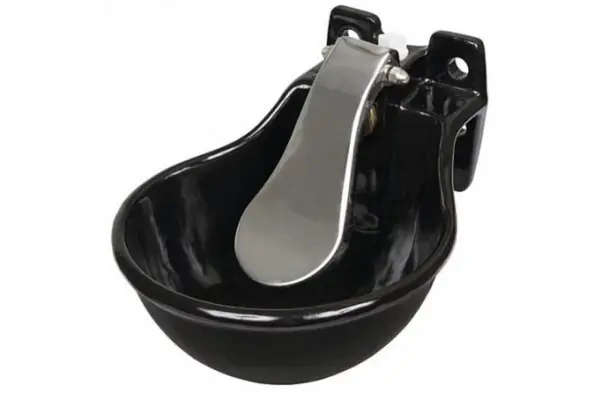 Ghidul cumpărătorului – care sunt adapătorile ideale pentru animale?