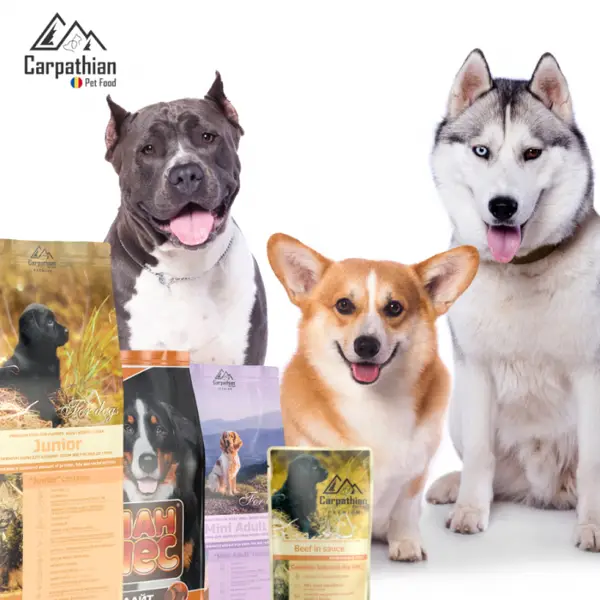 Hrană uscată de calitate pentru câini