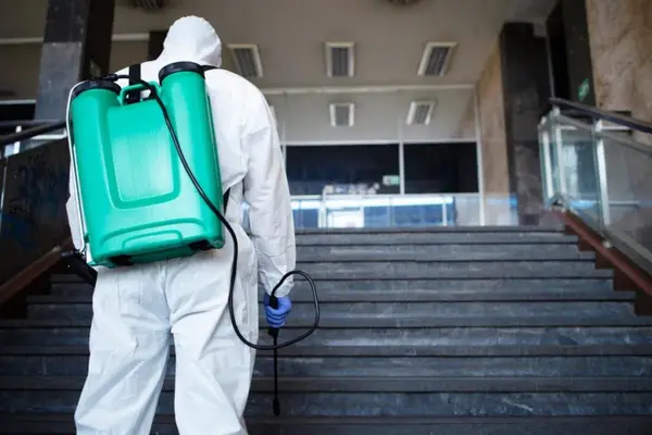 Green Eco Cluj: expertiza in servicii DDD Cluj pentru scoli si spitale