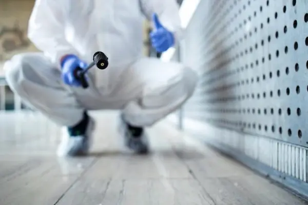 Dezinfectie preventiva pentru medii comerciale si industriale: cum Green Eco Cluj contribuie la un mediu curat si sanatos pentru angajati