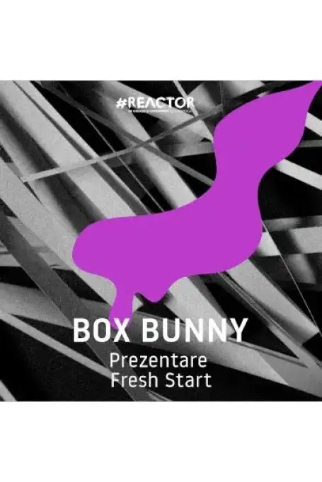 Box Bunny
