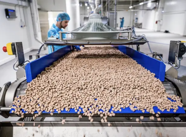 Kormotech: cum un producător de hrană pentru animale de companie creează o nouă experiență gastronomică pentru pisici și câini