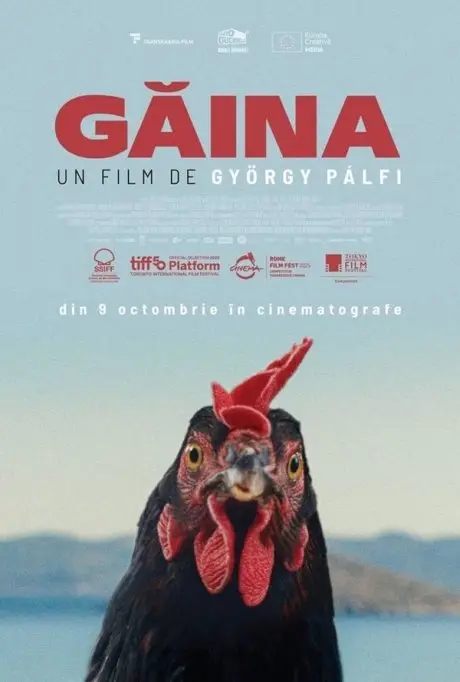 Găina