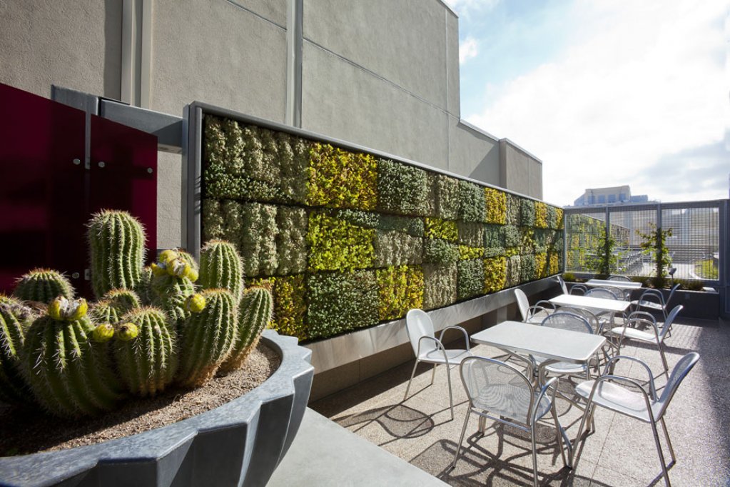Acoperisul verde pentru terasa ta – alegerea perfecta pentru o oaza de liniste