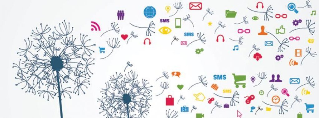 web-media-marketing-bucuresti