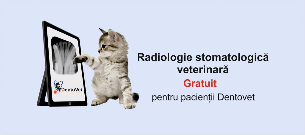 Stomatologie veterinara in Cluj