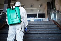 Green Eco Cluj: expertiza in servicii DDD Cluj pentru scoli si spitale