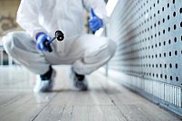 Dezinfectie preventiva pentru medii comerciale si industriale: cum Green Eco Cluj contribuie la un mediu curat si sanatos pentru angajati