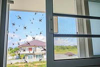 Accesorii esențiale pentru plasele de insecte: ce trebuie să ai
