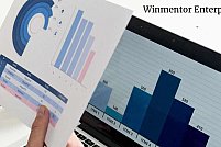 De ce este WinMentor Enterprise soluția potrivită pentru administrarea și dezvoltarea afacerii tale