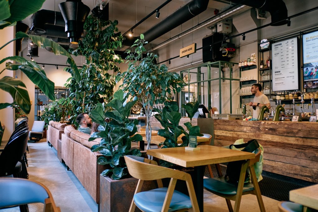 Olivo Coffee